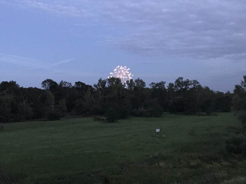 Feuerwerk über Magdeburg