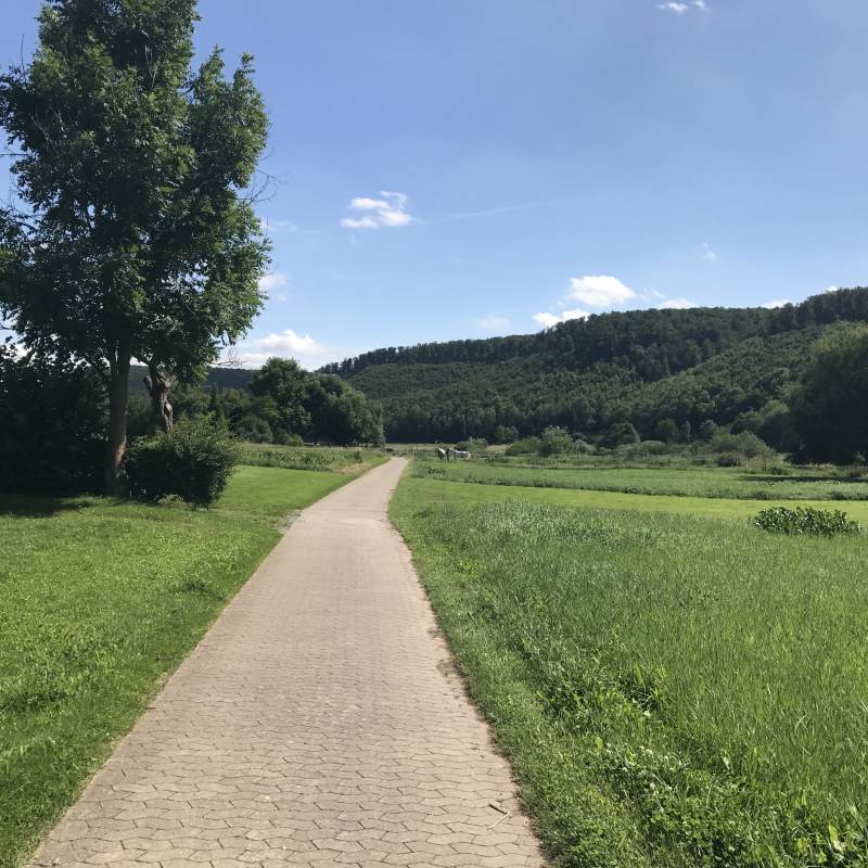 Symbolbild Landschaftsradweg