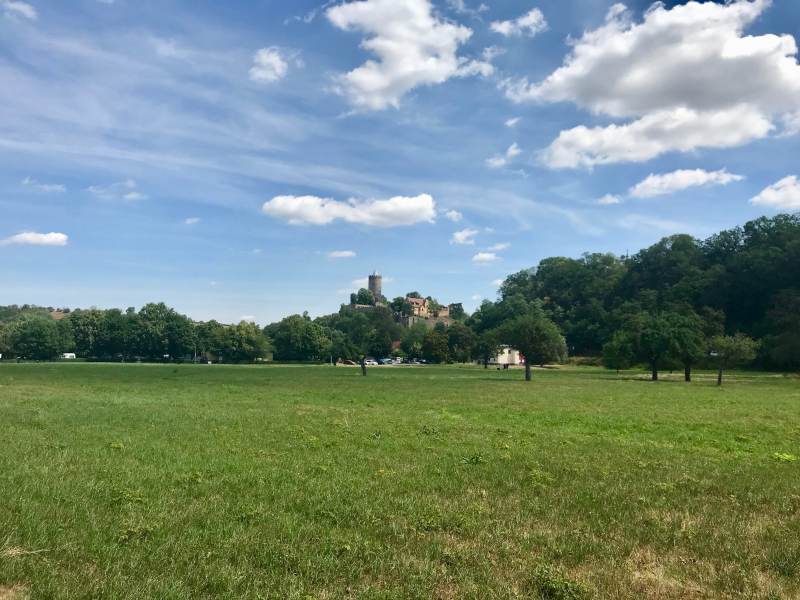 Blick auf Burg Schönburg