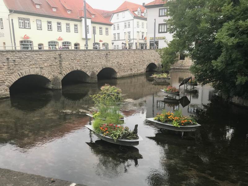 Blumeninseln in der Gera