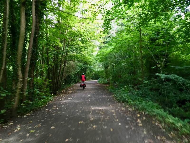 Grüne Waldwege charakterisieren die heutige Etappe