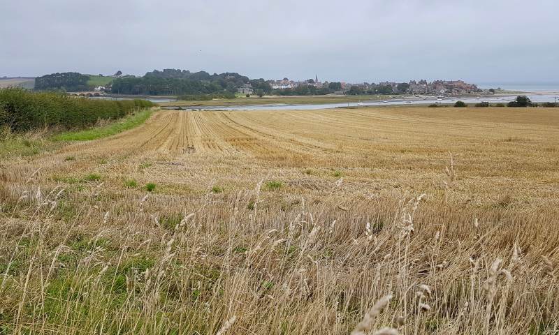 Blick zurück auf Alnmouth