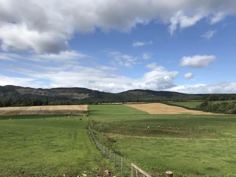 Blick in die Hügel