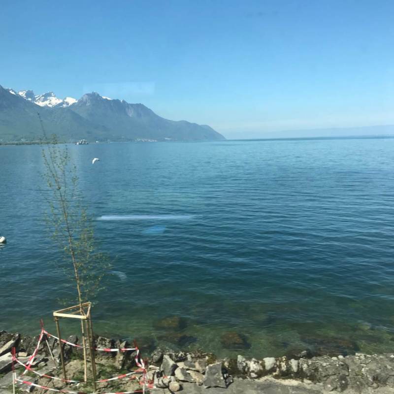 Heute geht es vorbei am Genfer See.