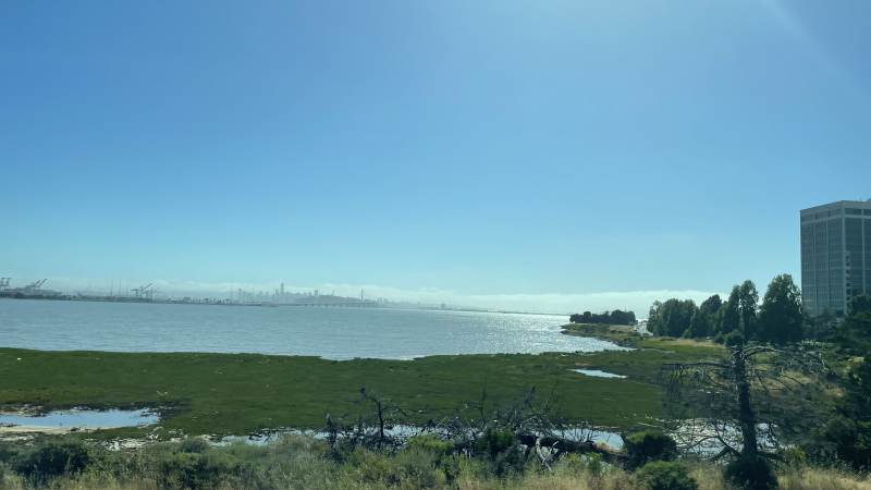 San Francisco in Sicht