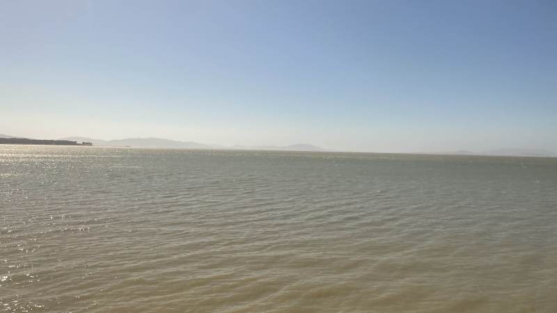 An der San Pablo Bay