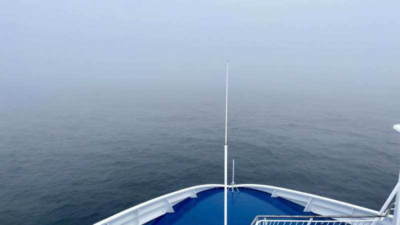 Dichter Nebel ...
