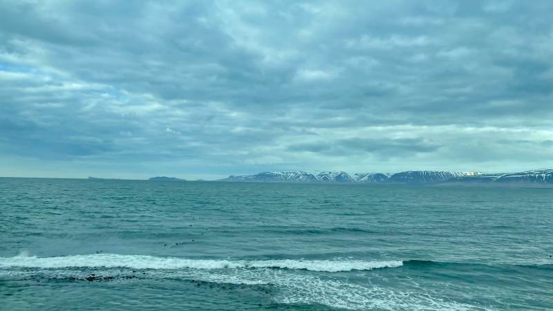 Vor Reykjavik direkt am Wasser