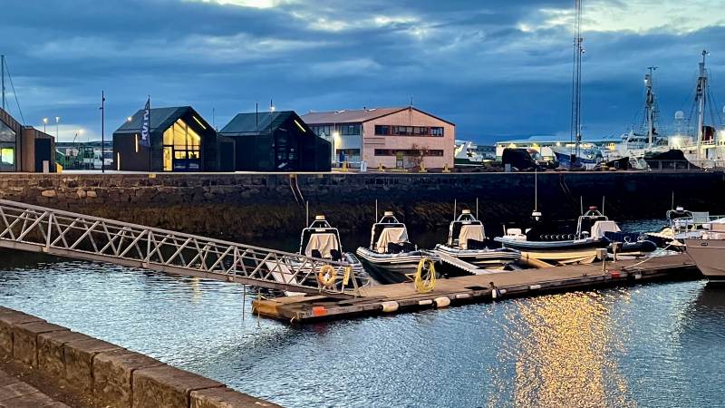 Whalewatching-Boote