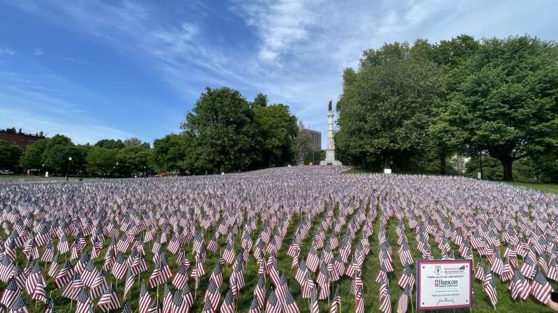 Flaggenmeer zum Memorial Day