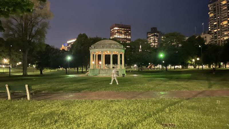 Der nächtliche Park